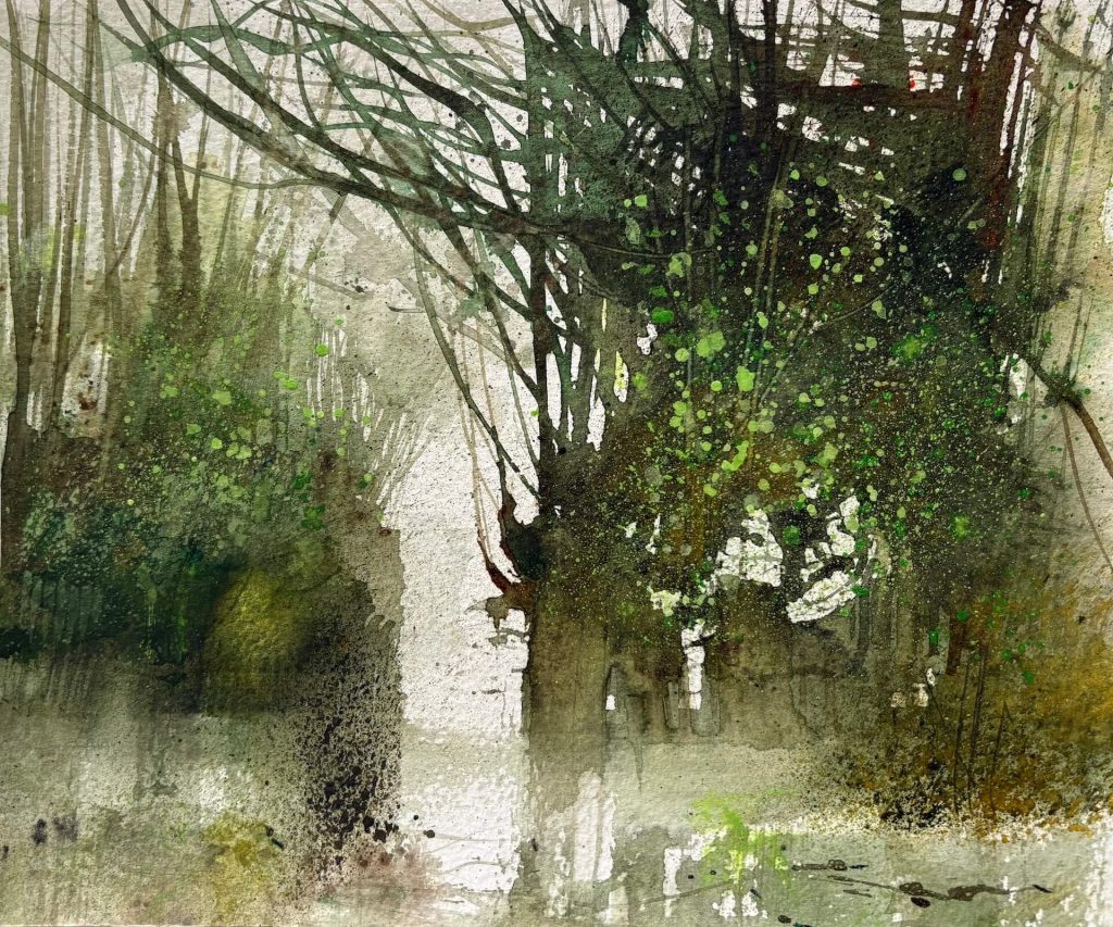 Reluctant spring